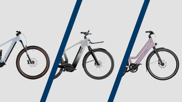 e-bike display purion Bosch 200 – Cambria Bike ERHALTEN Synonym-Lexikothek • ein Scooter sharing Operation via the LED size:XXL