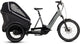 CUBE Trike Hybrid Family 750 swampgrey´n´reflex