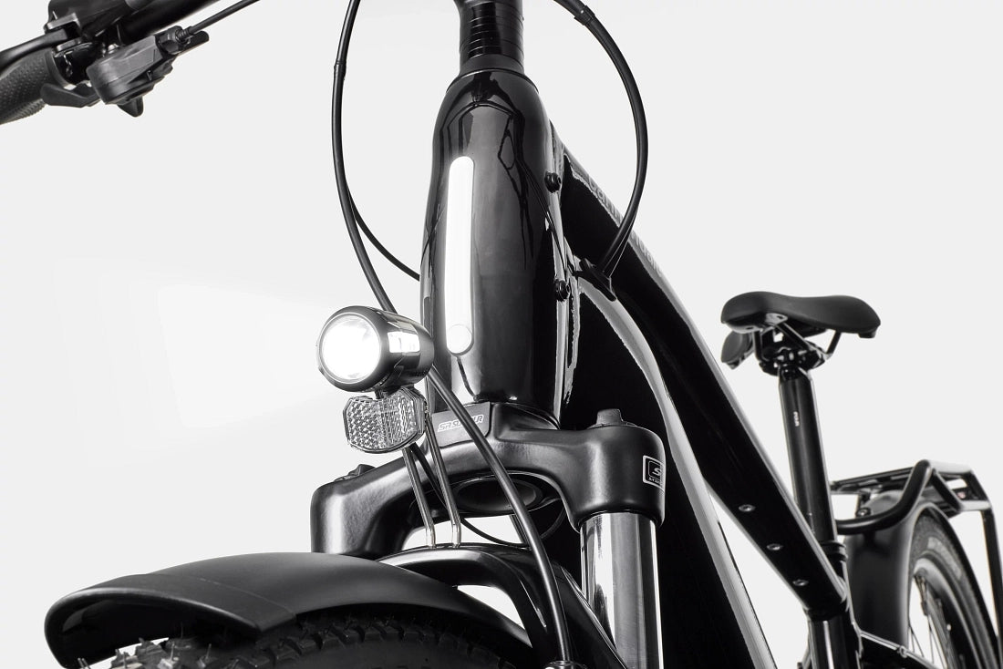 Cannondale Tesoro Neo X 2 mantis
