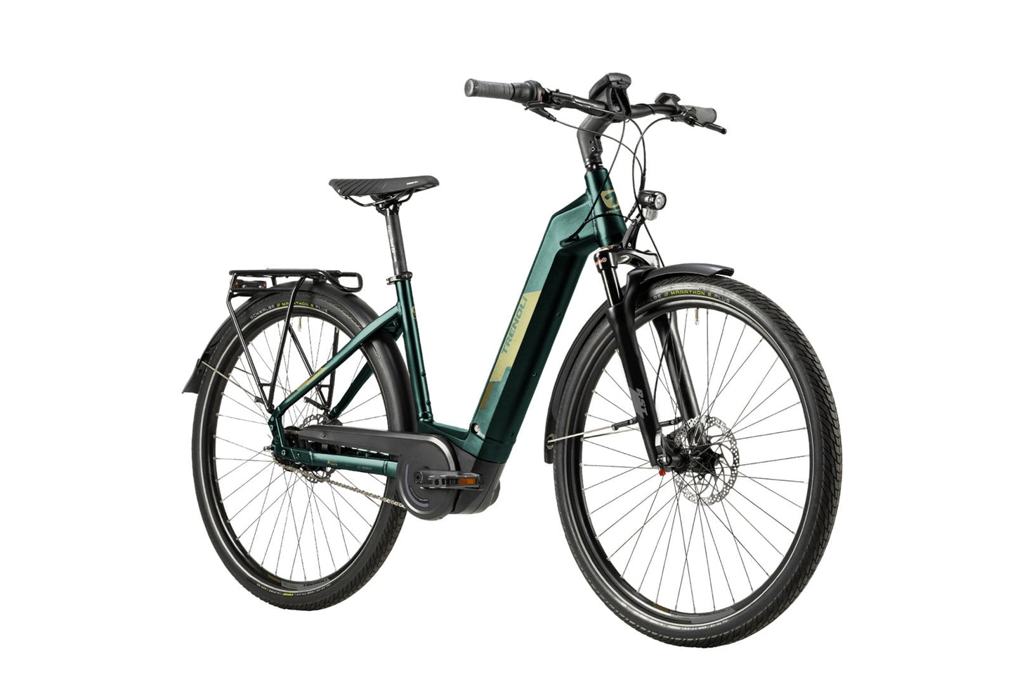 Trenoli TANARO CLASSICO Active Plus 625Wh NX8 RT silver green glanz