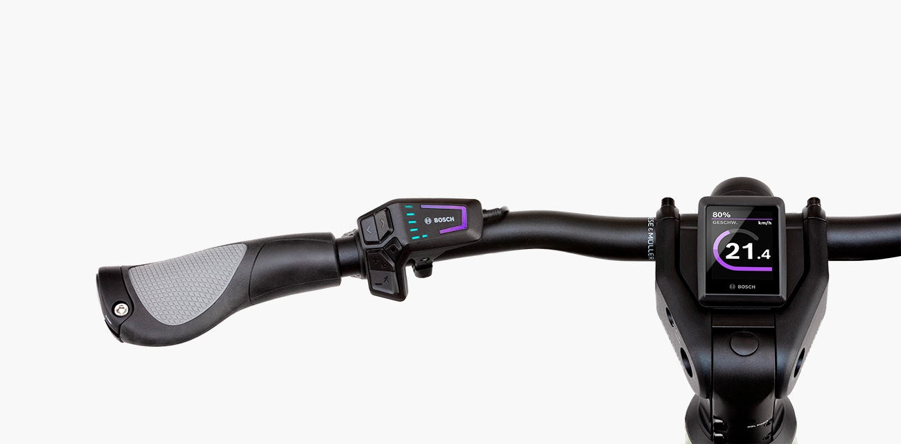 Riese & Müller Charger4 GT vario 750Wh + Range Ex. Kiox300 petrol matt
