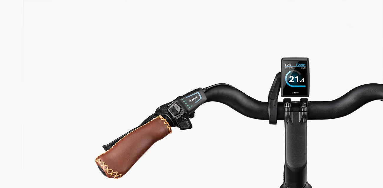 Riese & Müller Swing4 Rücktritt 500Wh Kiox300 bordeaux