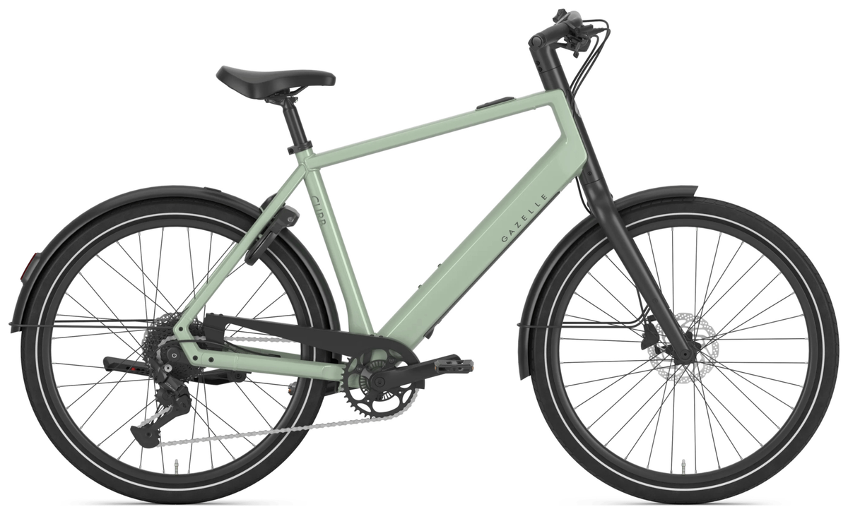 Gazelle Curb T9 pistache green gloss.