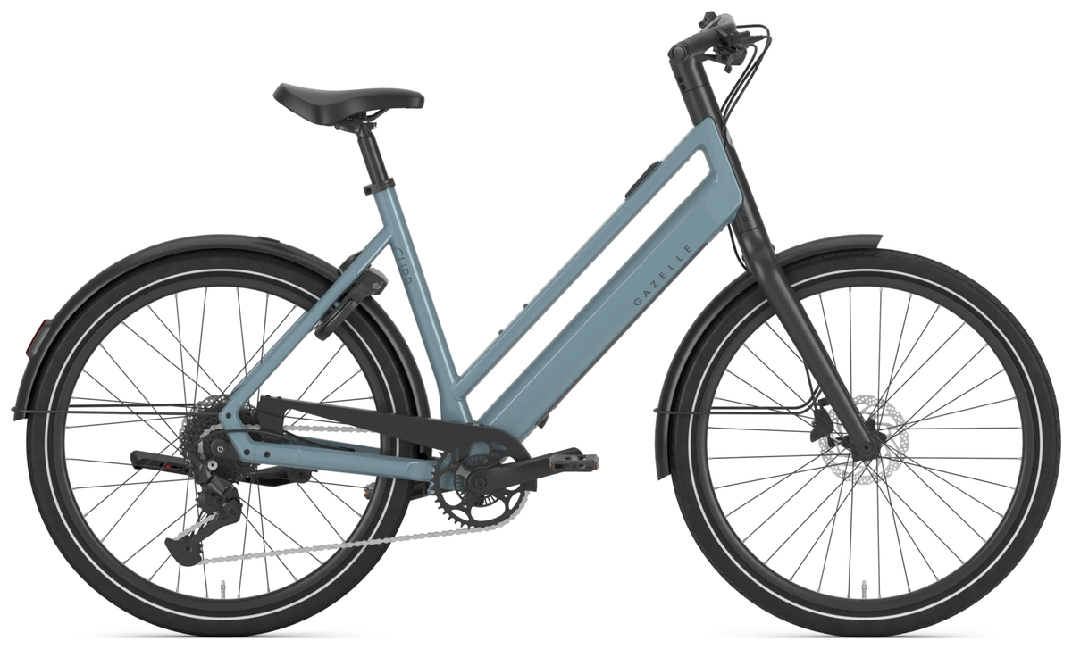 Gazelle Curb T9 grey.