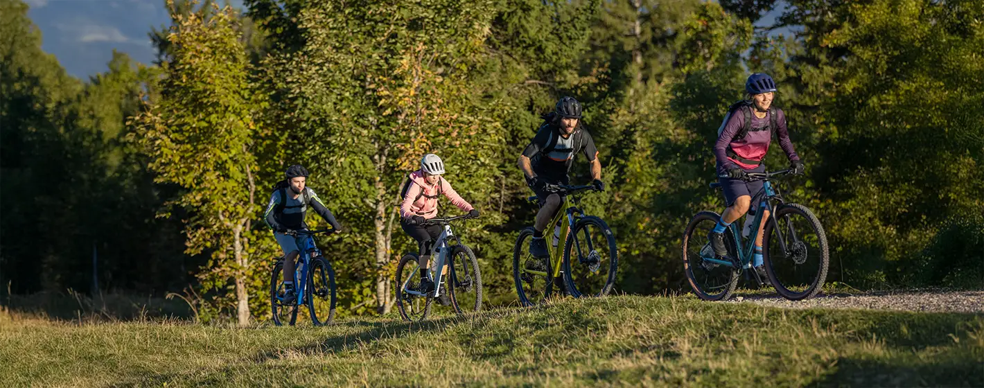 gepäckträger sattelstütze amazon Fahrrad-Gepäckträger, -Transporter für Hinterrad, Footstock aus Stahl, verstellbar, Korb für , Sattelstütze, Fahrradzubehör Sport & Bike Deals Decathlon Rockrider 520 2017 Color:E Pink