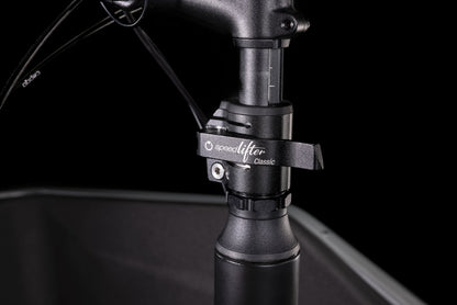 CUBE Cargo Dual Hybrid 1000 flashgrey´n´black