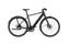 Riese & Müller UBN Five singlespeed, 430Wh  Fazua Ride 60 black matt