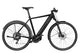 Riese & Müller Roadster4 touring 625Wh Kiox black matt