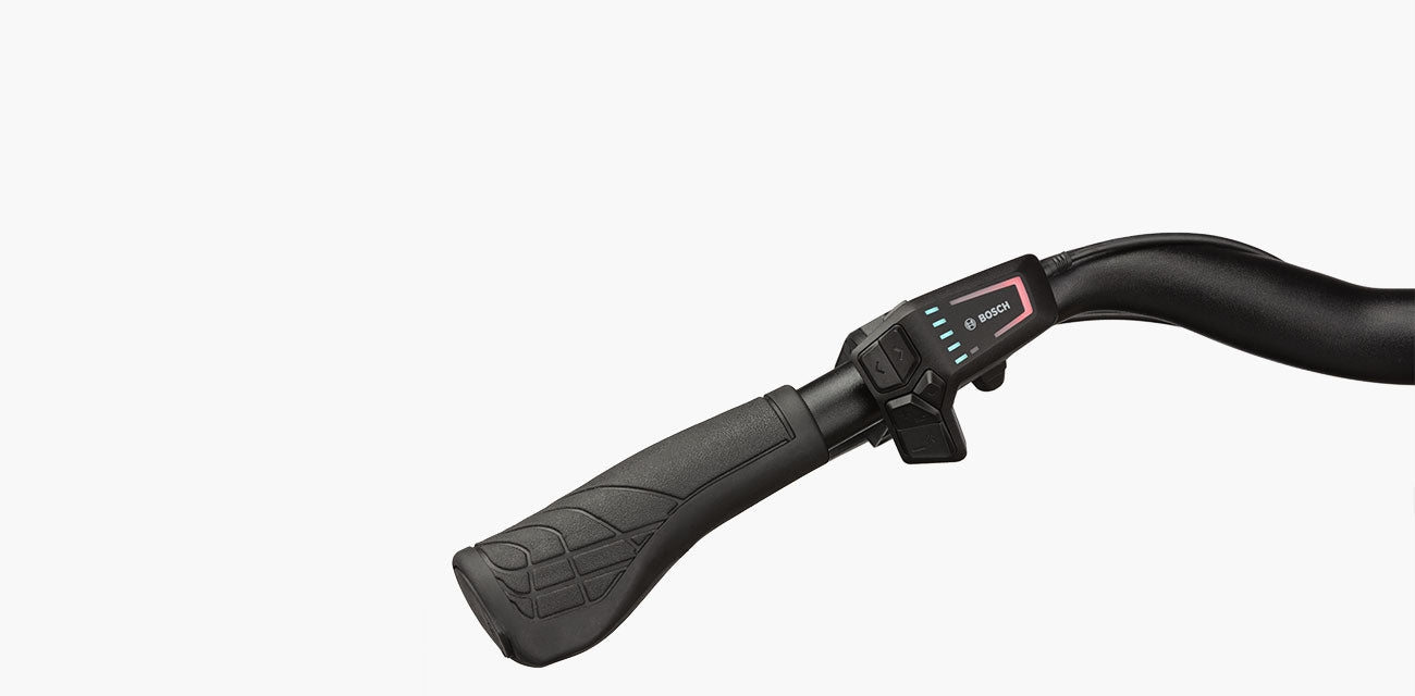 Riese & Müller Culture touring 400Wh LED Remote biscuit