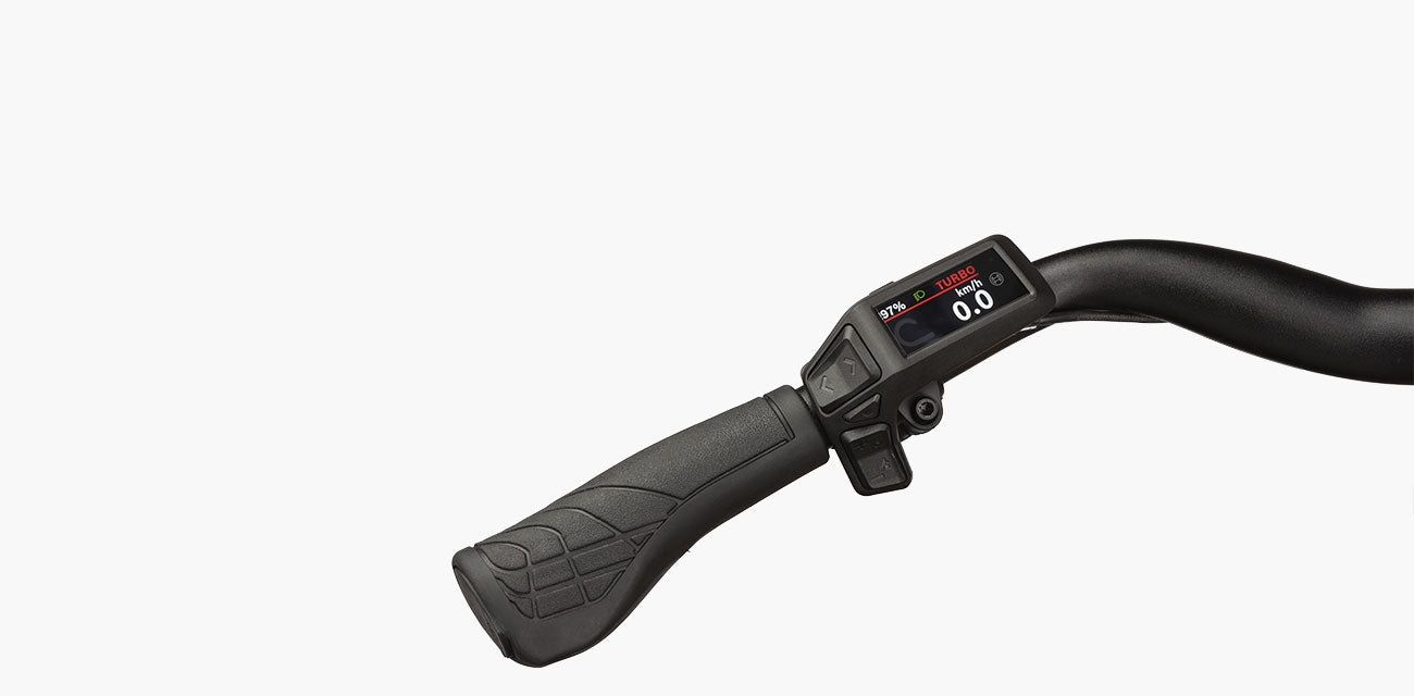 Riese & Müller Culture touring 400Wh Purion 200 denim