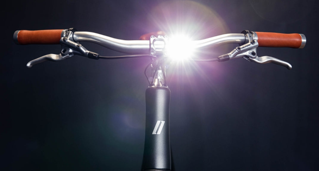 Schindelhauer Arthur Singlespeed 250Wh graphit/schwarz