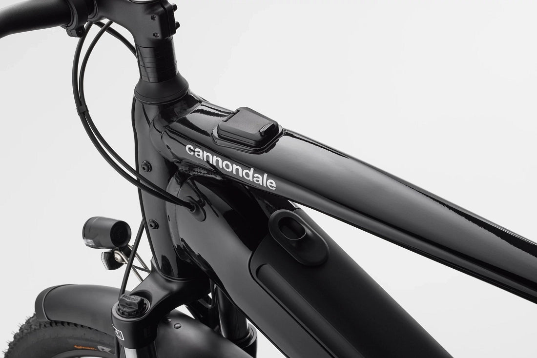 Cannondale Tesoro Neo X 2 mantis
