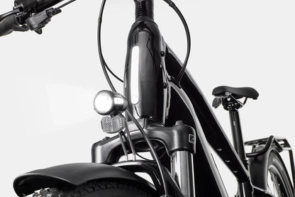 Cannondale Tesoro Neo X 2 mantis