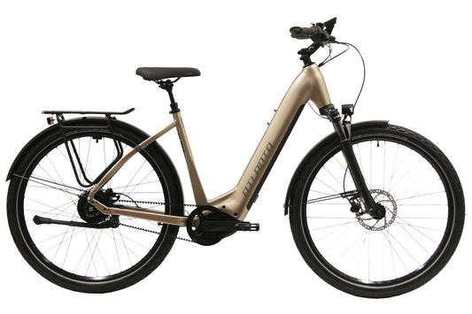 ATLANTA Rückenwind IN 4.0 Wave 750W steingrau/kühles grau