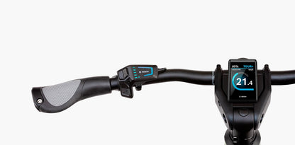 Riese & Müller Delite4 GT rohloff 750Wh + Range Ex. Kiox 300 urban grey matt