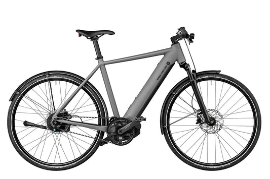 Riese & Müller Roadster4 vario 625Wh grey matt