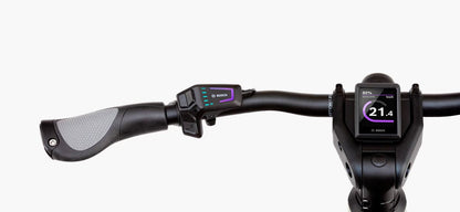 Riese & Müller Multicharger2 GT vario 750Wh +250Wh Kiox300 petrol/black matt