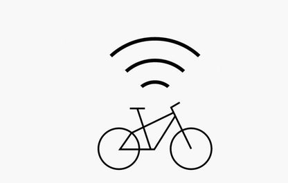 Riese & Müller Multicharger2 GT vario 750Wh +250Wh Kiox300 petrol/black matt