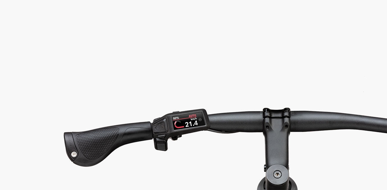 Riese & Müller Roadster4 vario 625Wh Kiox 300 black matt