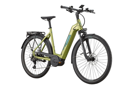Trenoli TANARO Classico Performance 625Wh pale green matt