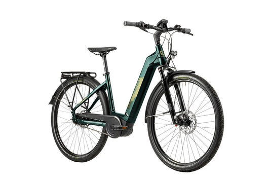 Trenoli TANARO CLASSICO Active Plus 625Wh NX8 RT silver green glanz