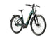 Trenoli TANARO CLASSICO Active Plus 625Wh NX8 RT silver green glanz