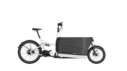 Riese & Müller Packster2 70 CT Vario 750 Wh Kiox 300 white