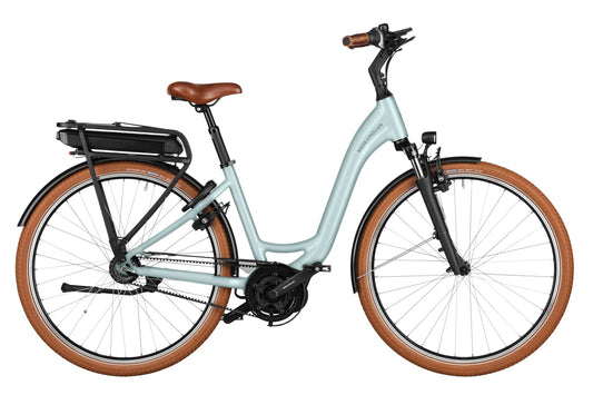 Riese & Müller Swing4 Rücktritt 500Wh Intuvia 100 salvia matt