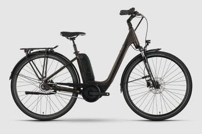 Raymon CityRay E 4.0 SE RT tenmoku brown