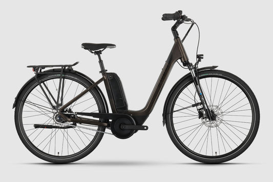 Raymon CityRay E 4.0 SE RT tenmoku brown