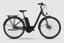 Raymon CityRay E 4.0 SE RT tenmoku brown