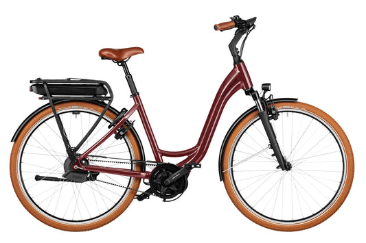 Riese & Müller Swing4 automatic 500Wh Kiox 300 salvia matt