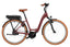 Riese & Müller Swing4 automatic 500Wh Kiox 300 salvia matt