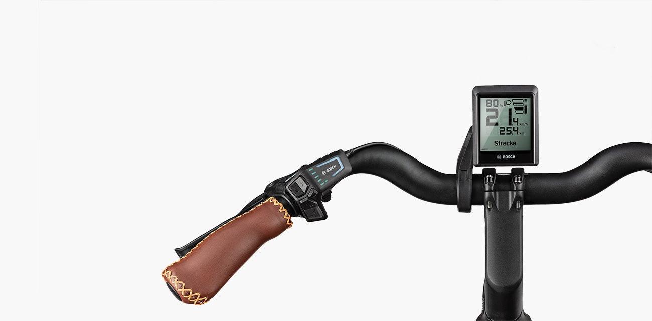 Riese & Müller Swing4 Rücktritt 500Wh Intuvia 100 salvia matt.