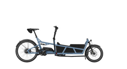 Riese & Müller Load5 75 Vario 725Wh Kiox500 arctic