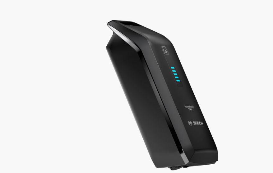 Riese & Müller Load5 75 Vario 725Wh Kiox500 arctic