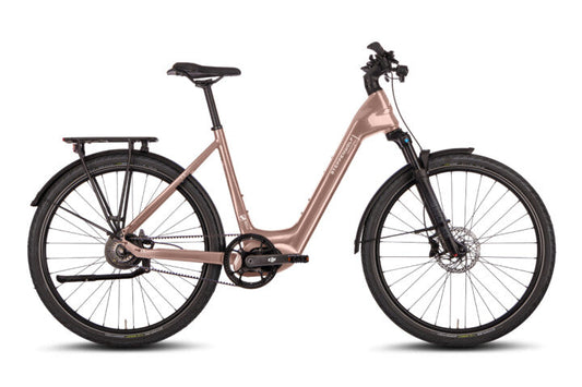 STEPPENWOLF TRANSTERRA EASY 9.0 Champagner Glossy