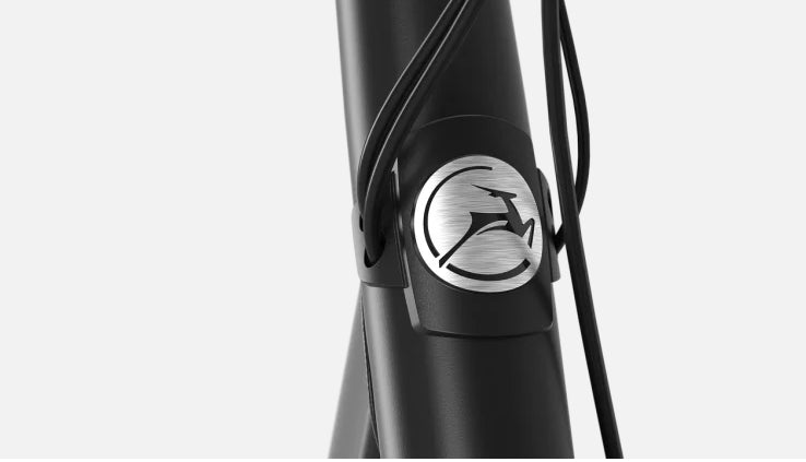 Gazelle Paris C8 500 Wh black matt.