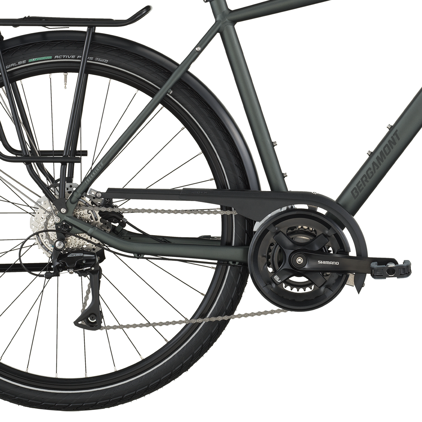 Bergamont Vitess 40 rigid Kelp Green