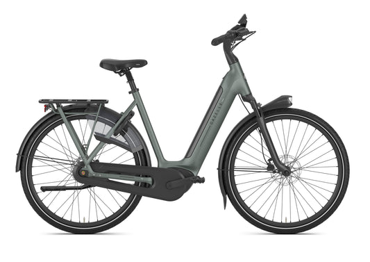 Gazelle Arroyo C8+ Elite 600 Wh RT twilight green matt