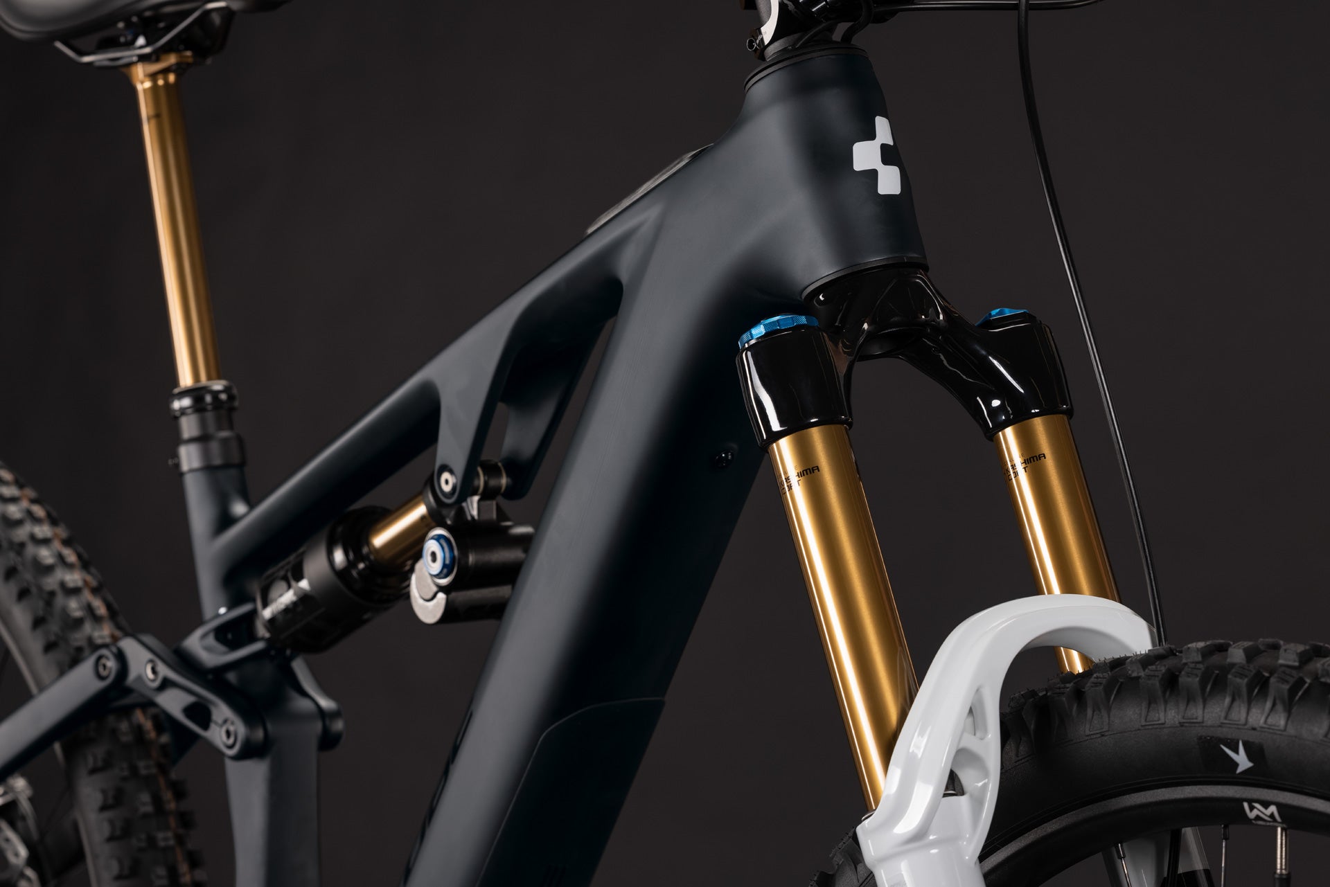 CUBE AMS Hybrid 177 C:62 AT 600X in carbon´n´white, Detail von Rahmen und Federgabel