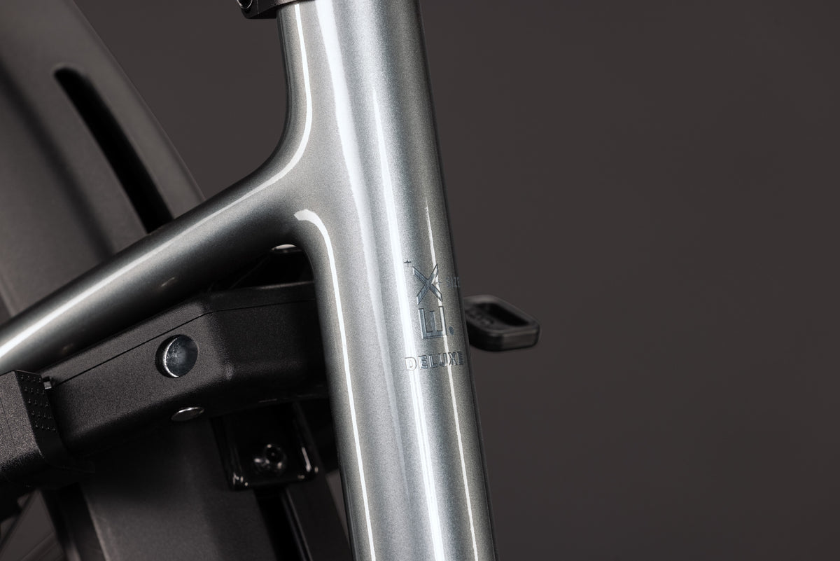 CUBE Supreme RT Hybrid Deluxe EX 600 in quicksilver´n´grey, Detailansicht des Rahmens