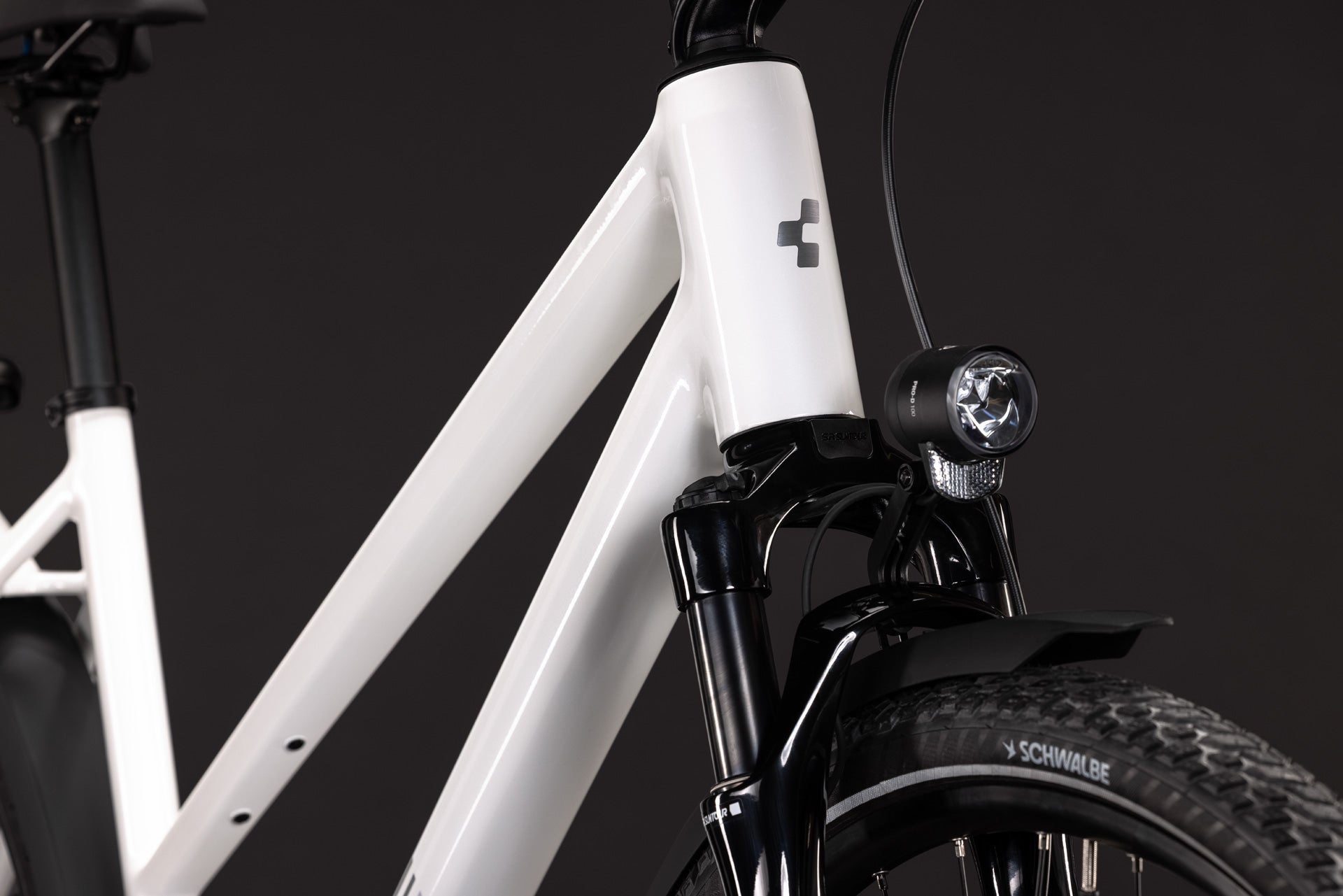 CUBE Kathmandu Pro metallicwhite´n´chrome.