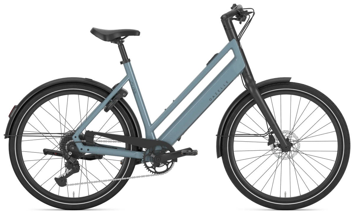 Gazelle Curb T9 grey.