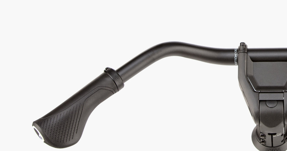 Riese & Müller Charger5 pinion HS 800Wh Comfort Cockpit pine.
