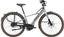 Cannondale FlyingV 1 silver.