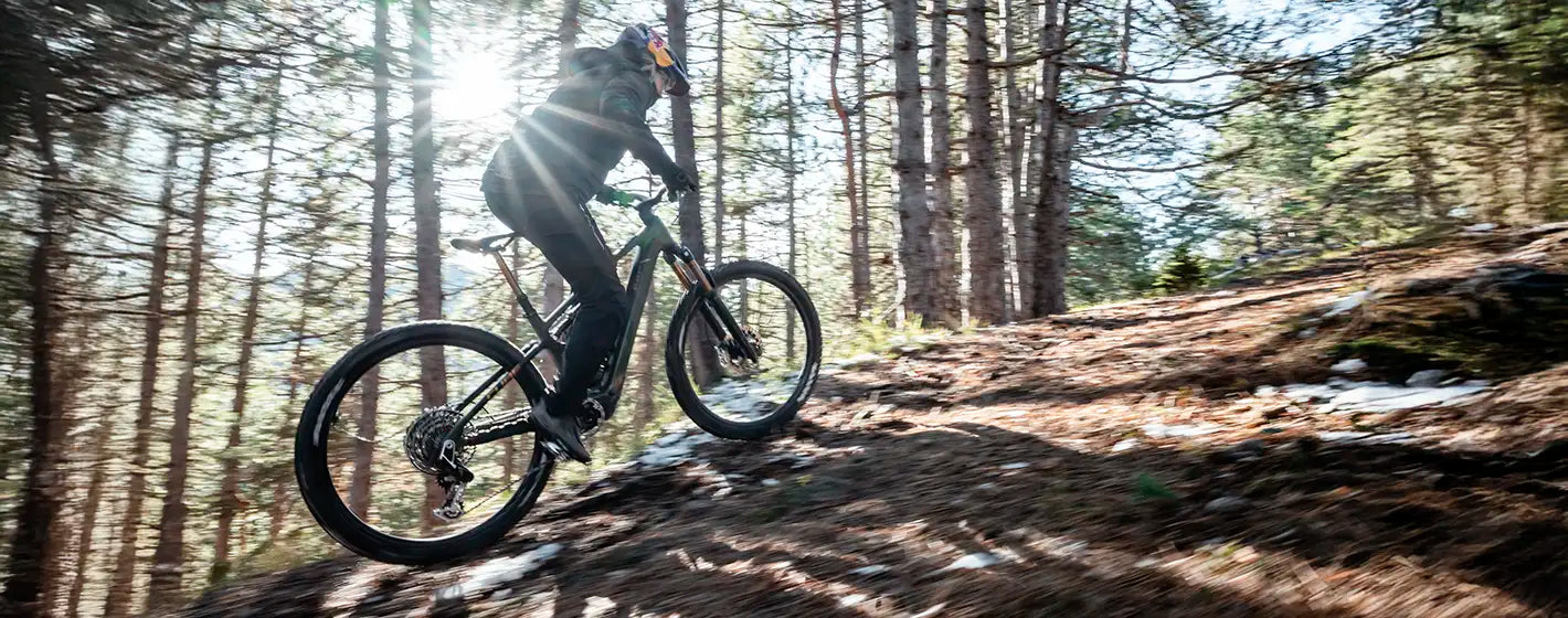 CUBE AMS Mountainbike für starke Anstiege