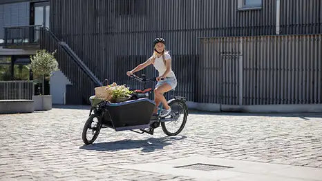 Umweltfreundliches CUBE Cargo Hybrid