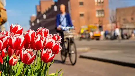Frühlings-Fieber - Fahrrad und E-Bike Angebote im Frühling bei BIKE Market