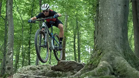 CUBE Modelle bei BIKE Market